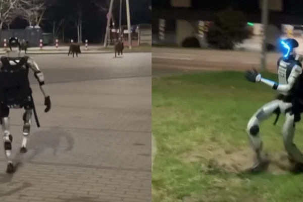 VÍDEO: Robô com IA persegue javalis nas ruas e viraliza nas redes