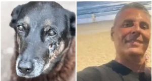 Tony Marcos de Souza investigado por coação no cão Orelha