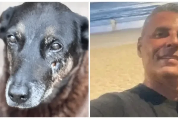 Caso do cão Orelha: morre investigado por coação em Florianópolis
