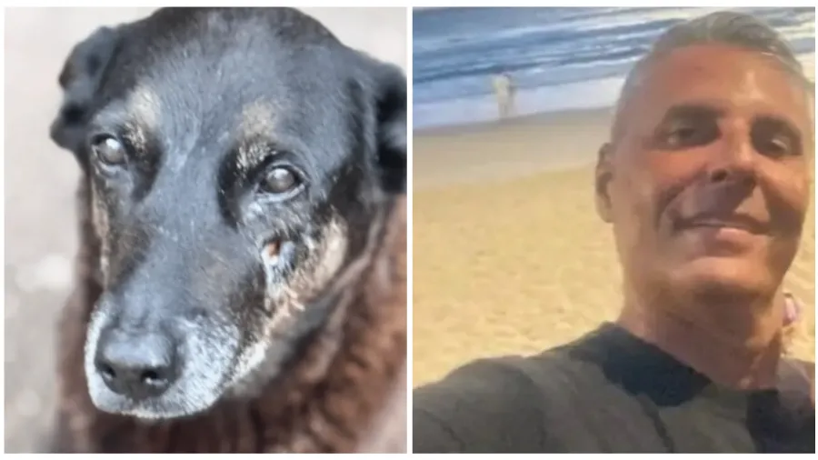 Tony Marcos de Souza investigado por coação no caso do cão Orelha