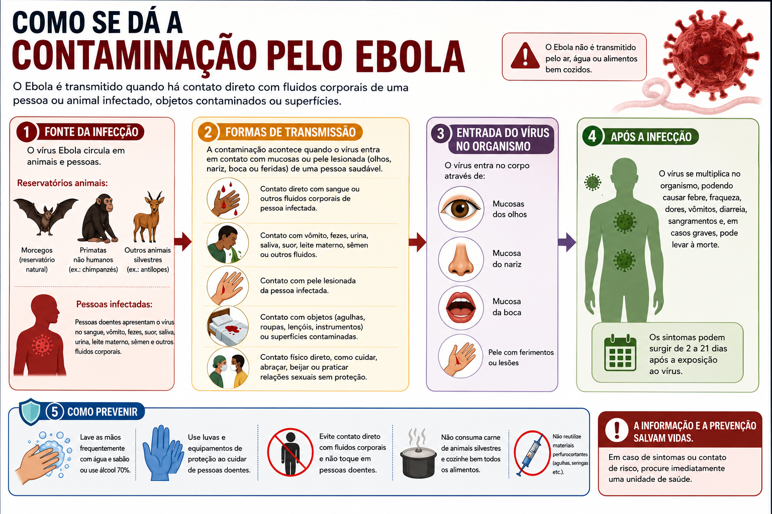 Ebola mata 80 pessoas e faz OMS declarar emergência sanitária internacional