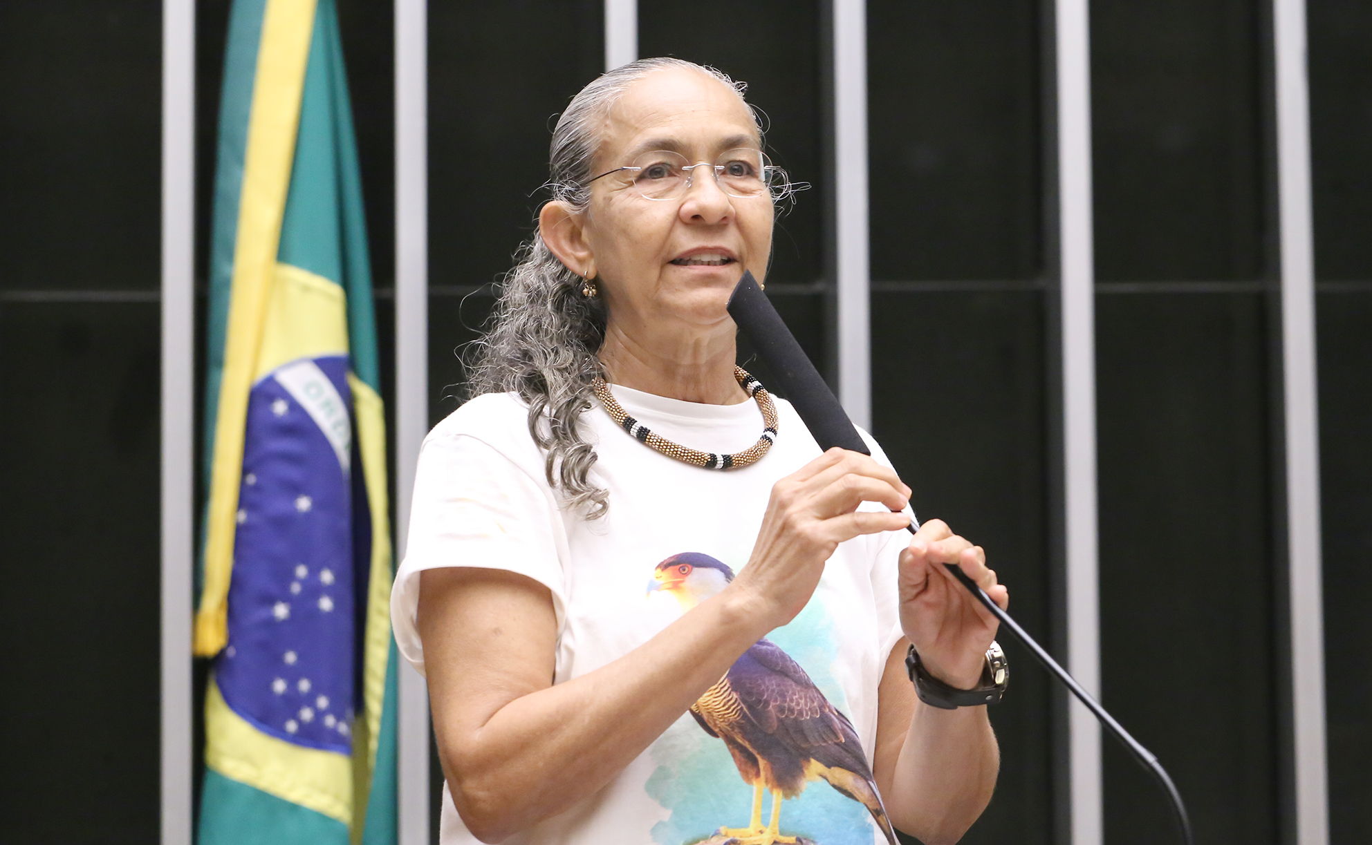 Ilustrativa
