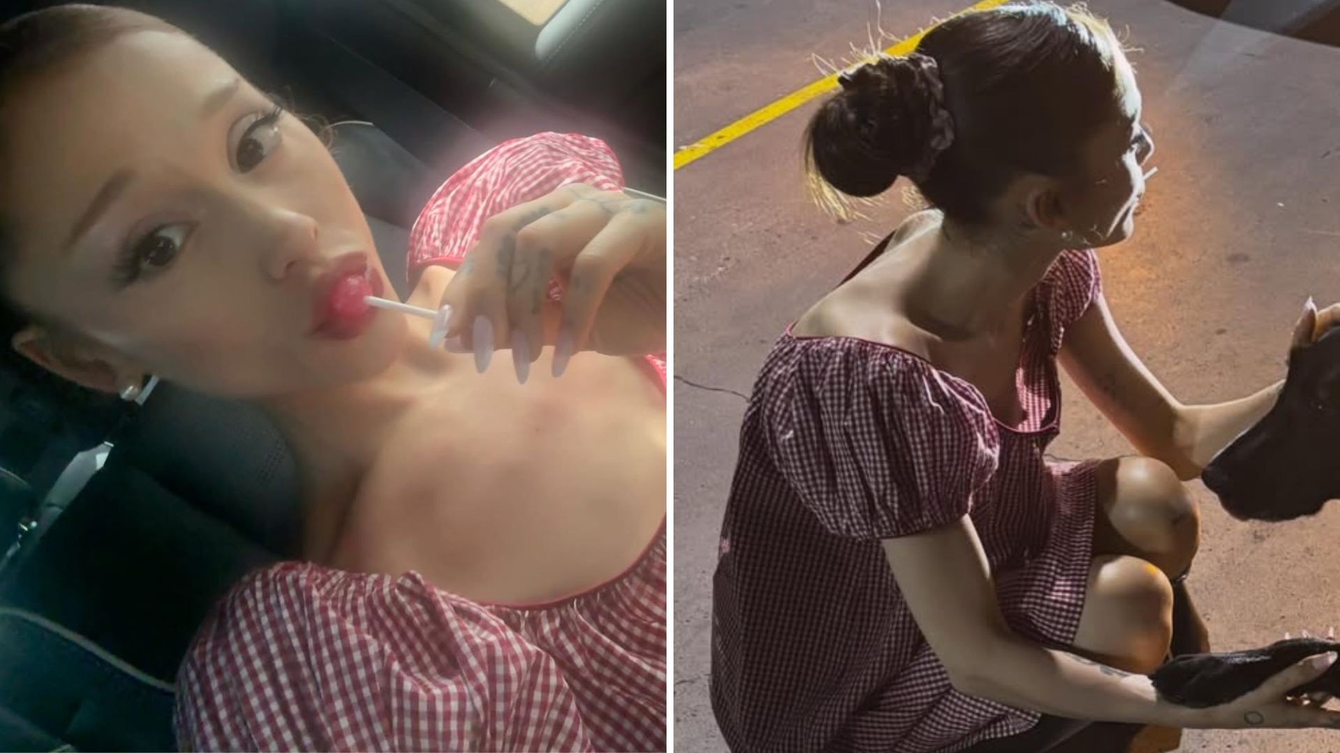 Ariana Grande ao lado de um cachorro