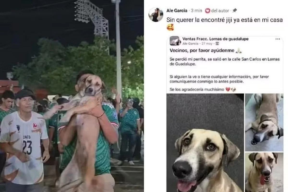 Cadela em meio a torcedores durante comemoração no México