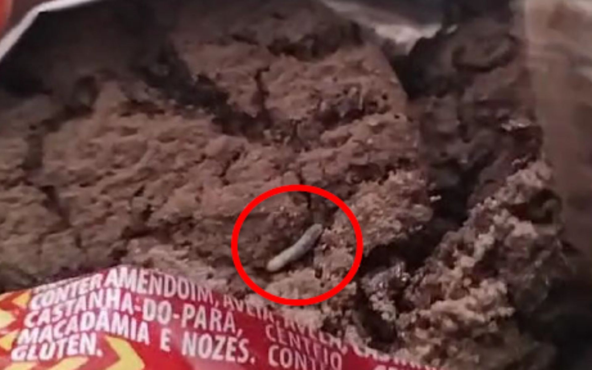 Biscoitos com larvas encontrados por criança em Araçatuba
