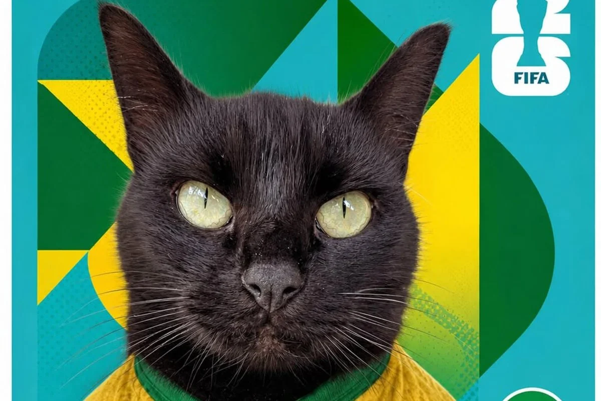 Gato preto Milu durante brincadeira de previsão para jogo do Brasil
