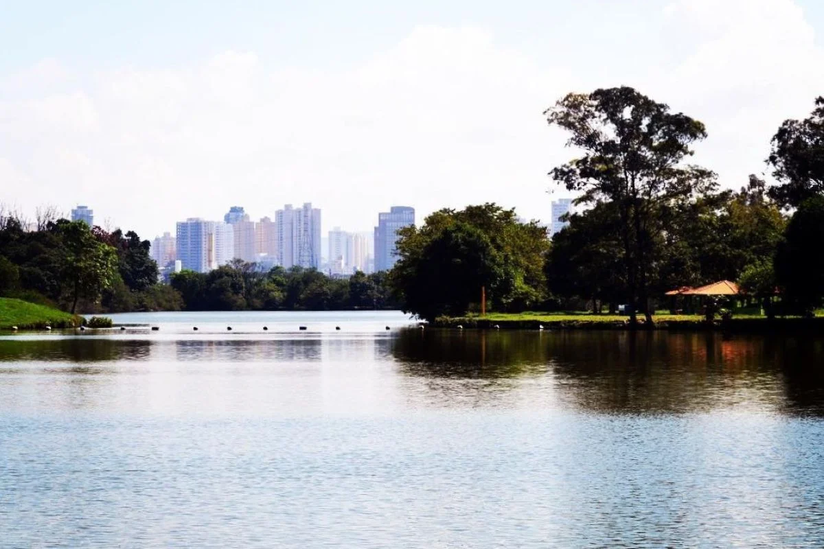 Área verde de parque urbano em São Paulo