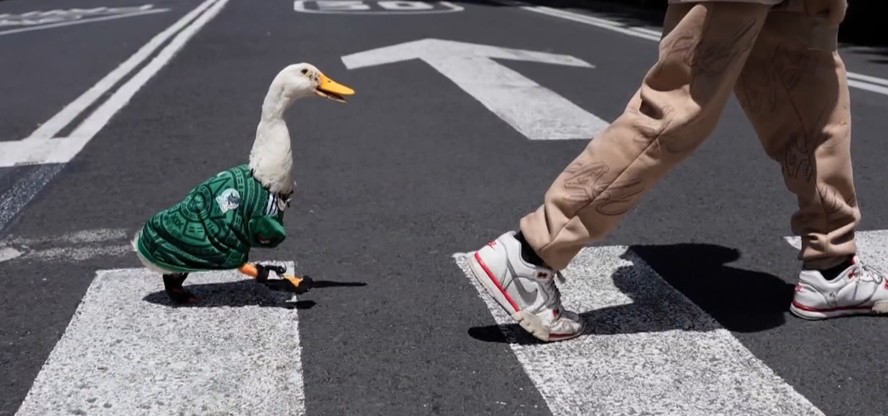 Pato Merlin usando camisa verde da seleção mexicana nas ruas da Cidade do México