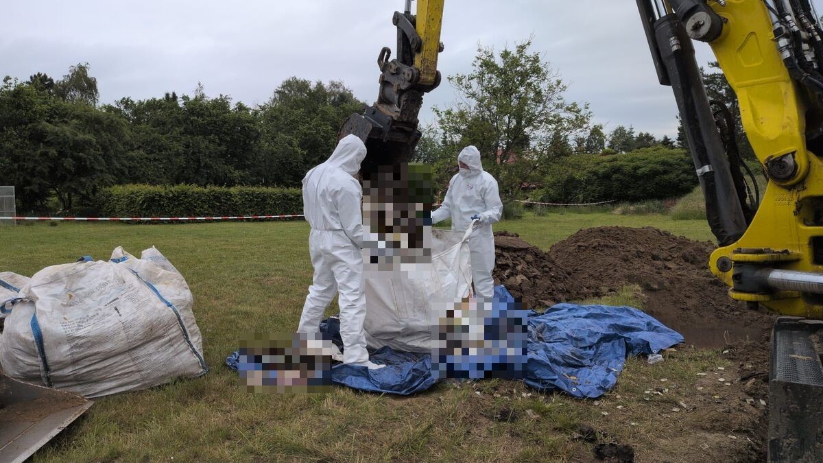 Jardim de antiga residência investigada pela polícia na Polônia
