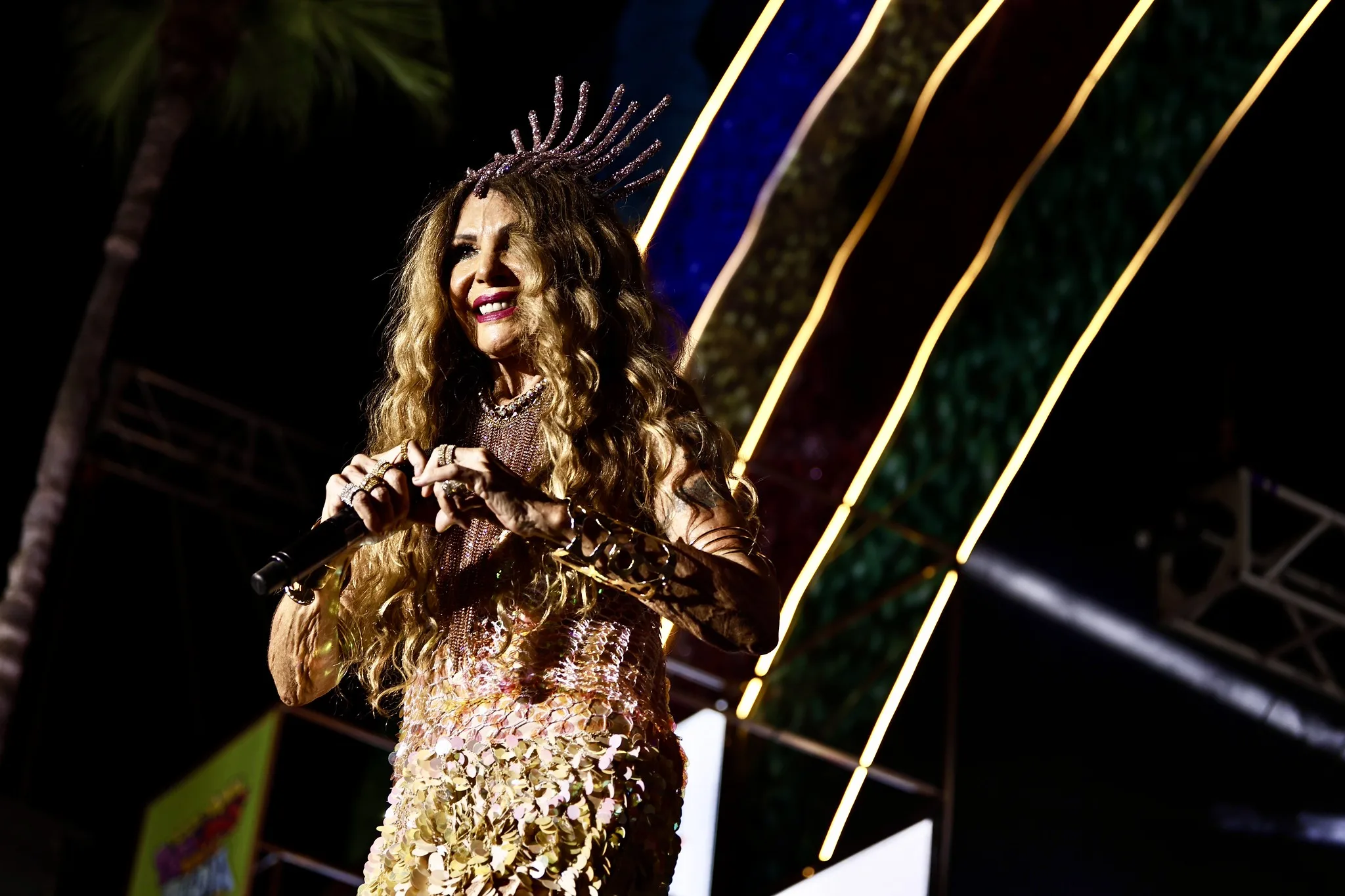 Elba Ramalho em apresentação musical