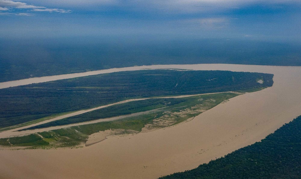 Trecho de floresta amazônica com vegetação densa