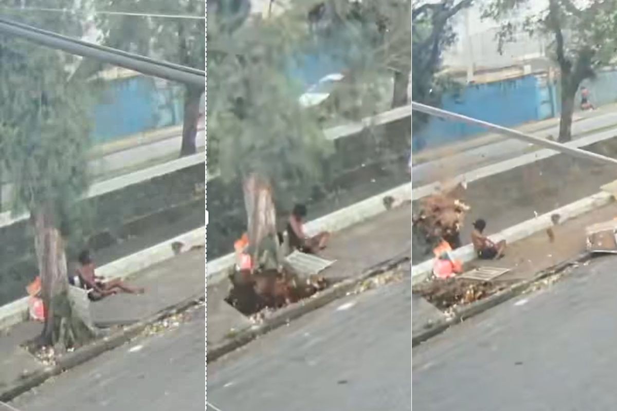 Árvore caída ao lado do Canal 5, em Santos