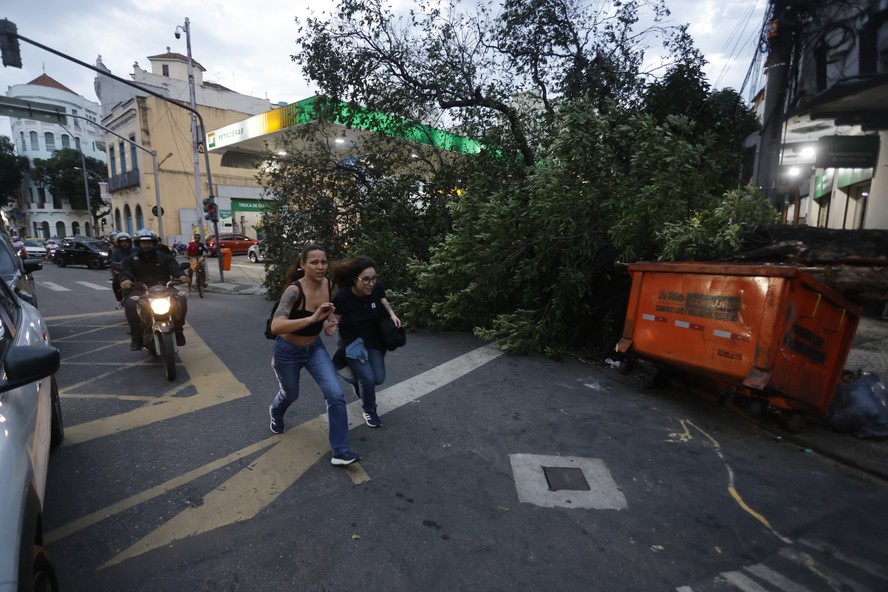 Árvore caída na Rua do Riachuelo após vendaval