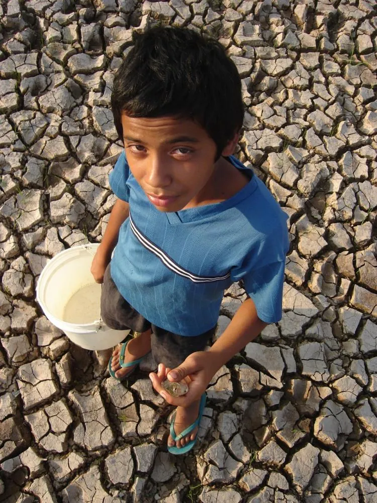 Impactos do El Niño no Brasil