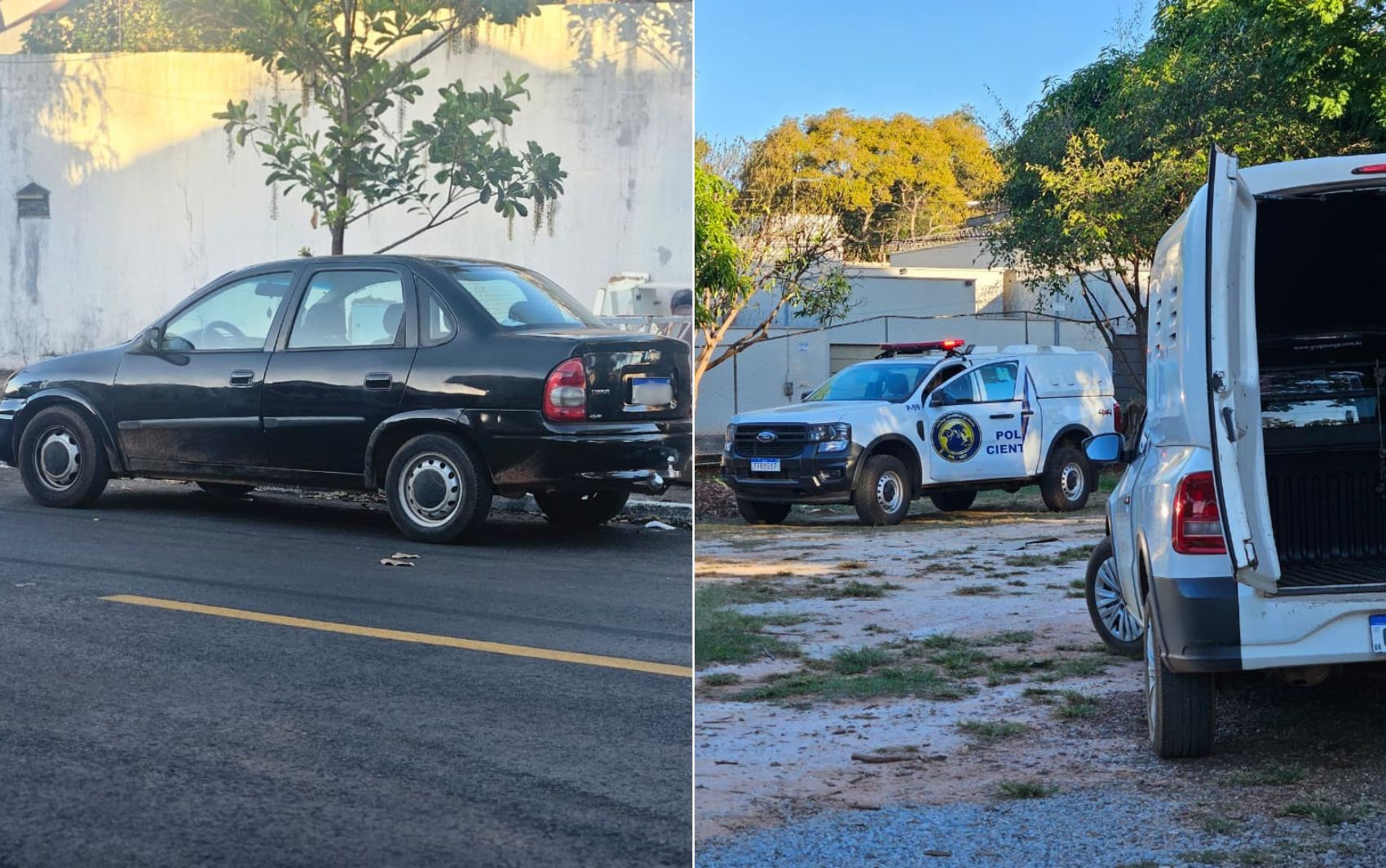 Filhotes de cachorro em Goiânia