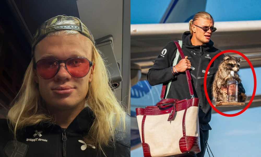 Erling Haaland com guaxinim de pelúcia