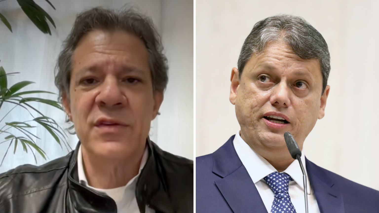 Fernando Haddad em entrevista