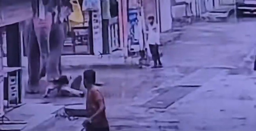 Elefante em rua de Indore, na Índia, próximo a veículos e pedestres