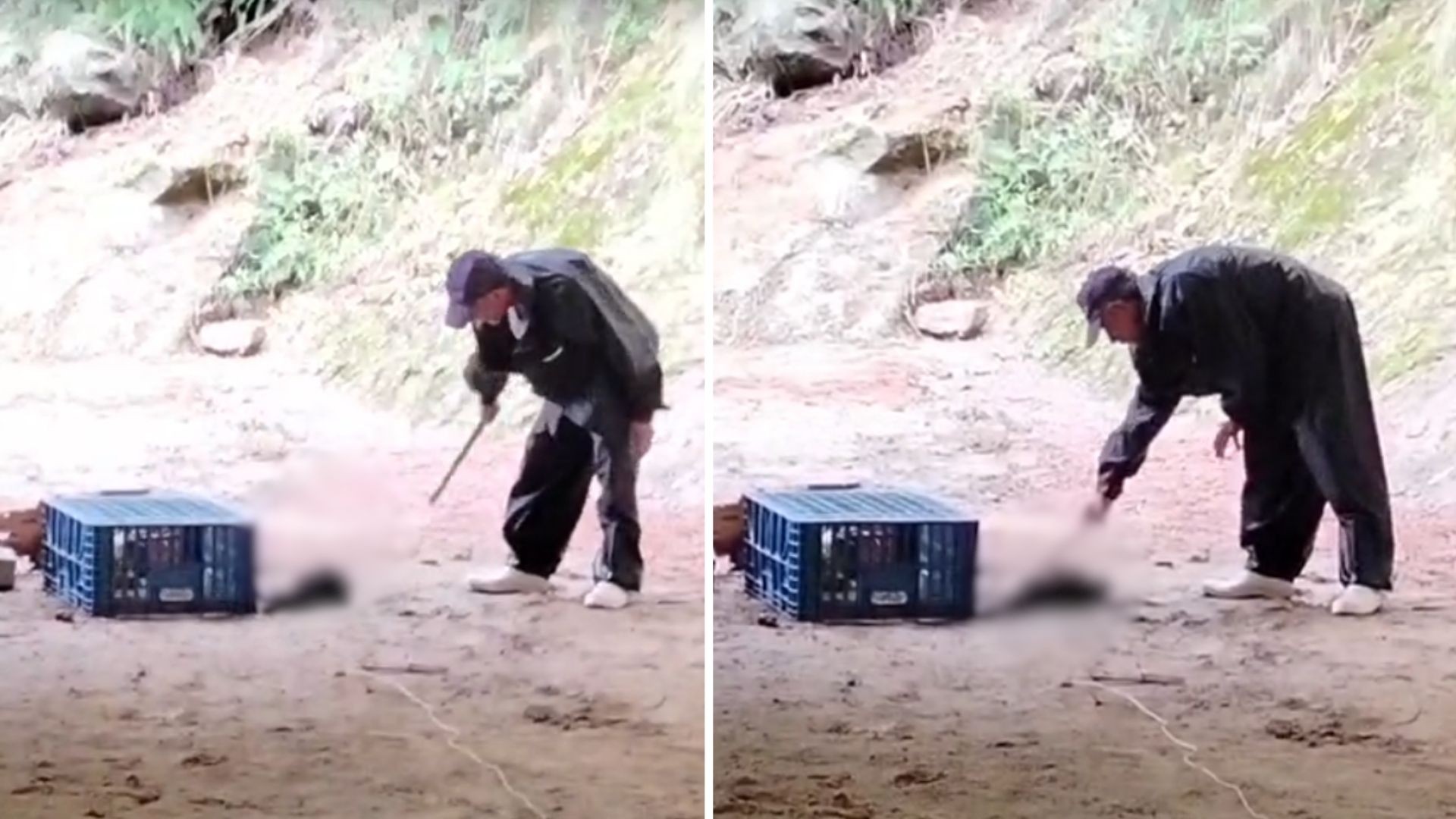Homem detido durante operação em granja no Espírito Santo