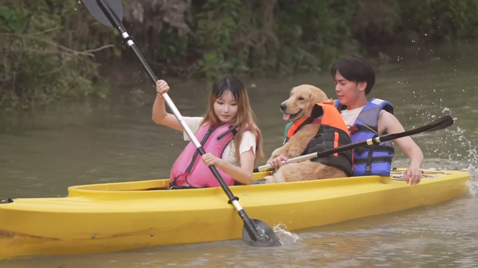 Cães e tutores participam de atividade em parque pet na China