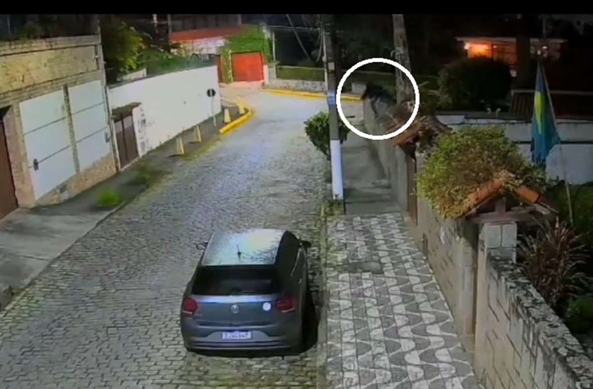 Suspeita escala muro de residência em Teresópolis