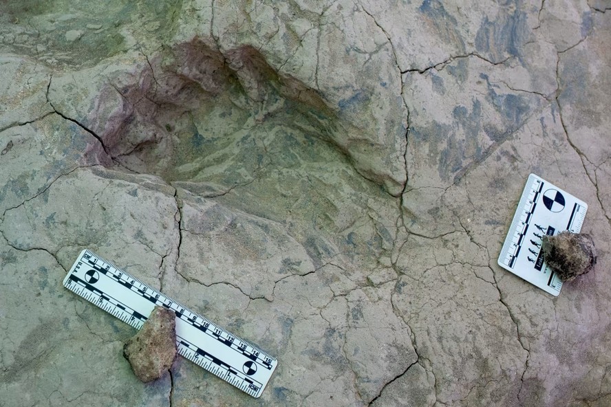 Pegada fossilizada de hominídeo encontrada no Quênia