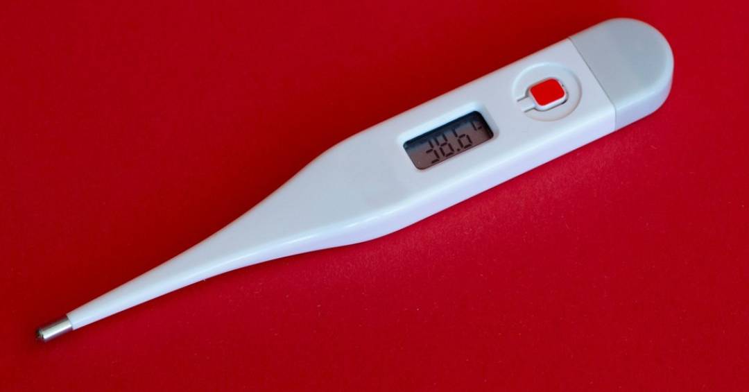 Termômetro digital usado para medir temperatura corporal