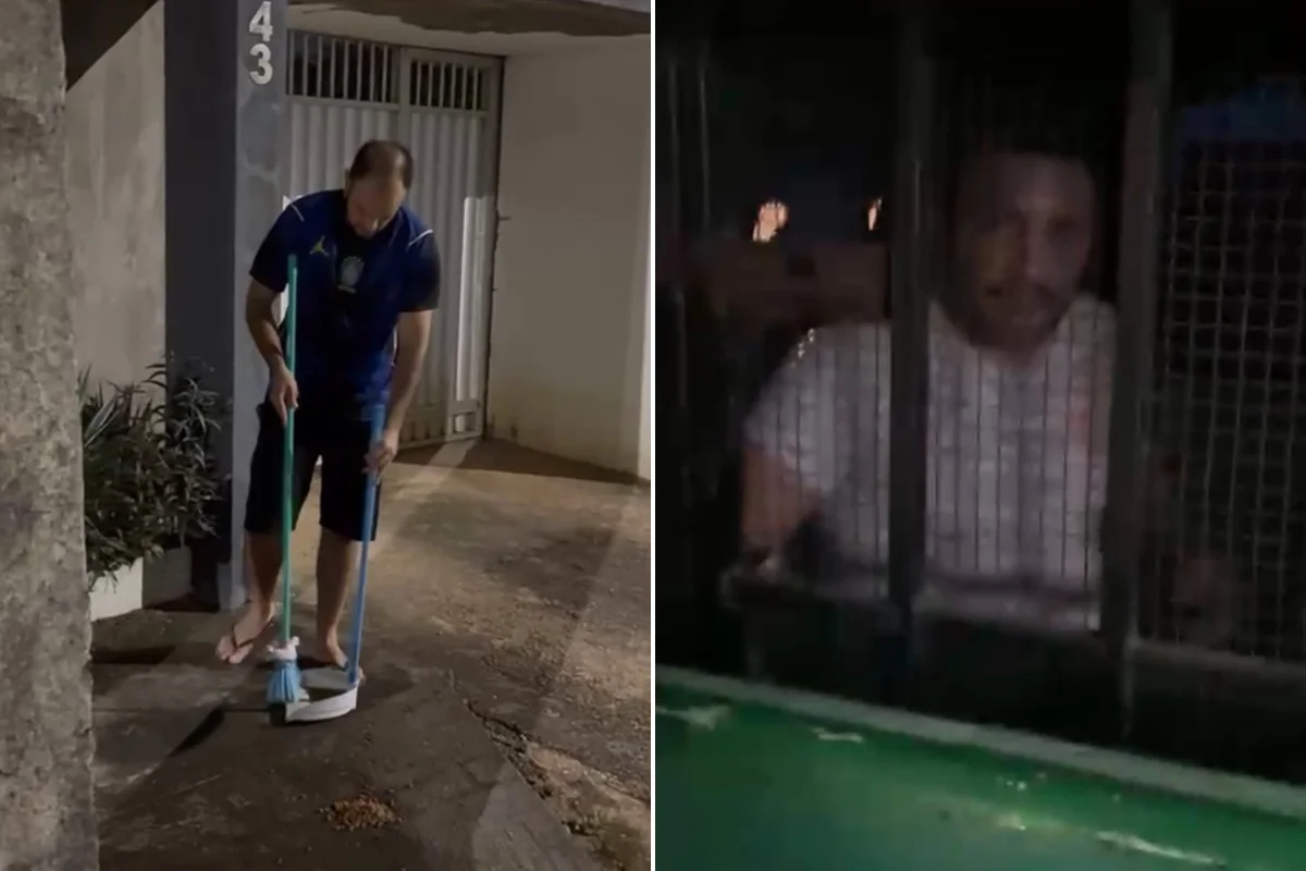 Gato de rua em área urbana