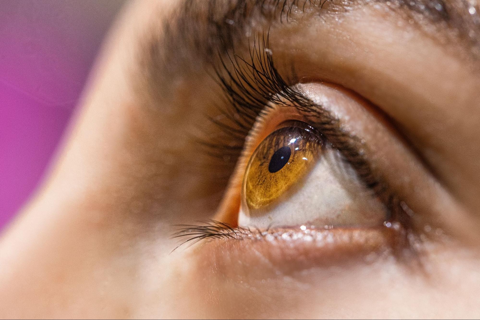 Estrutura da Eye-in-Care-Box em experimento com olho de porco
