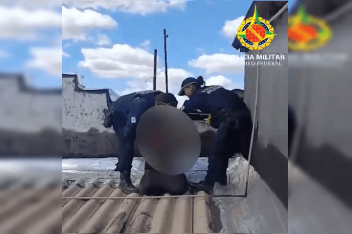 Policiais em residência durante prisão de suspeito no Distrito Federal