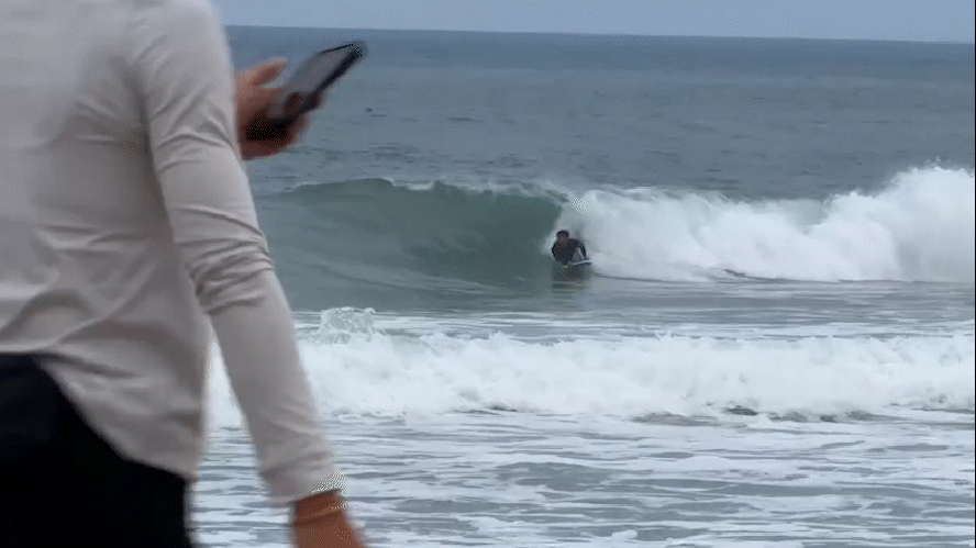 Tubarão-branco juvenil salta da água perto de praticante de bodyboarding na Califórnia
