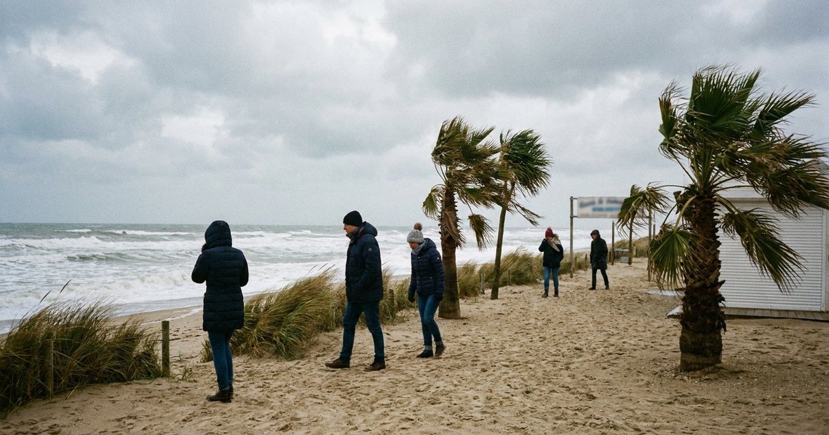 Praia sob vento forte, com areia levantada