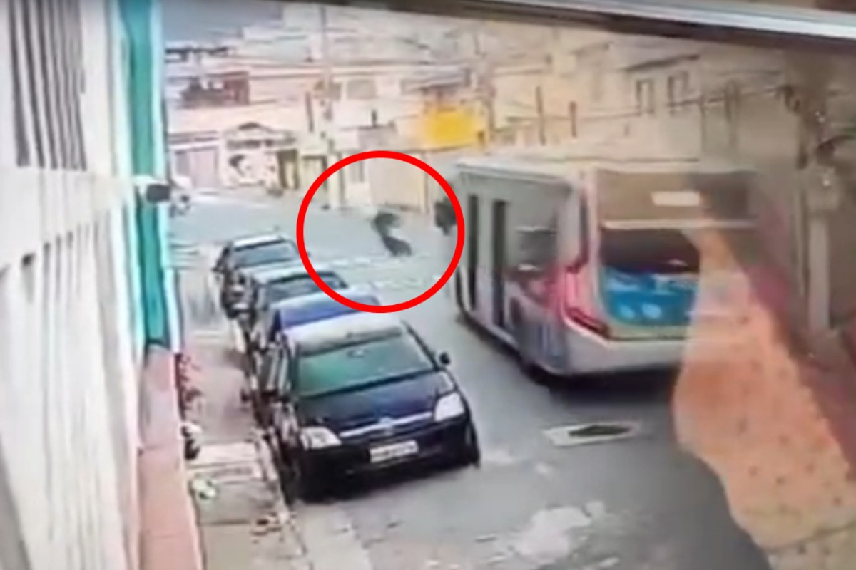 Ônibus envolvido em acidente com motocicleta na Zona Norte de São Paulo