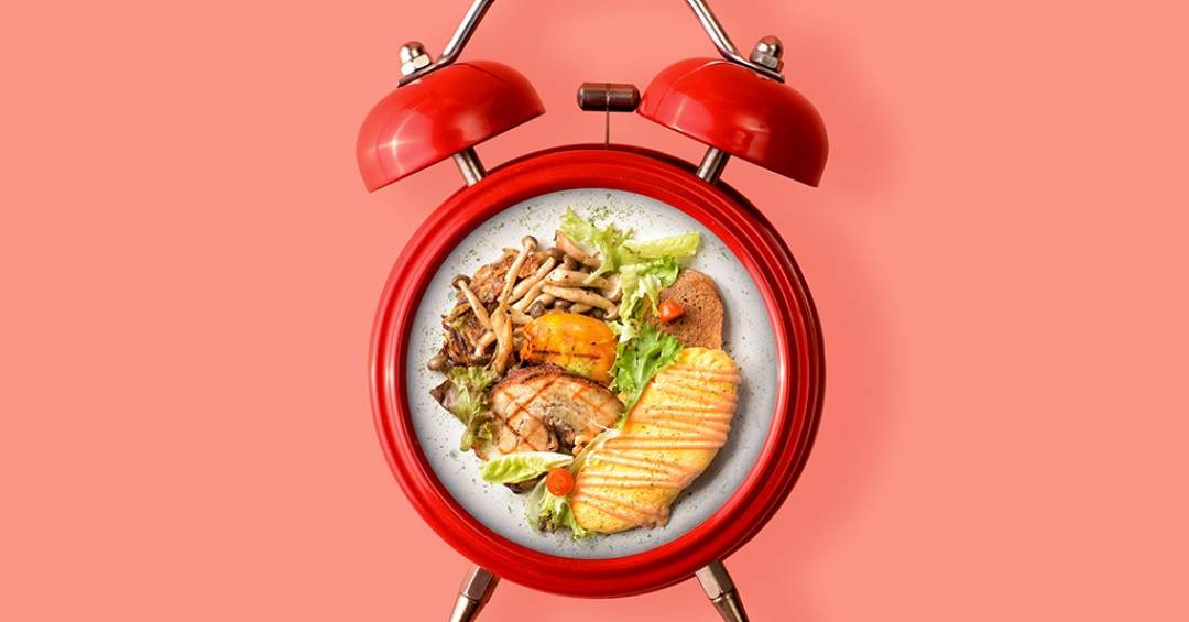 Alimentação em horários definidos