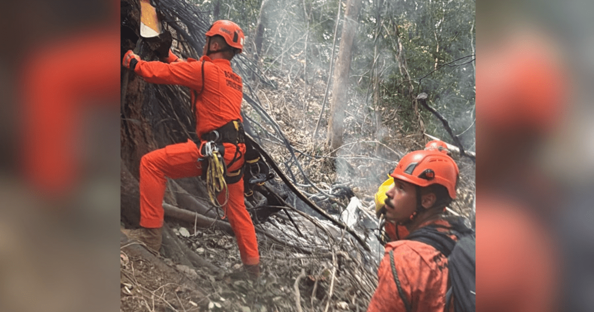 Helicóptero em área de mata