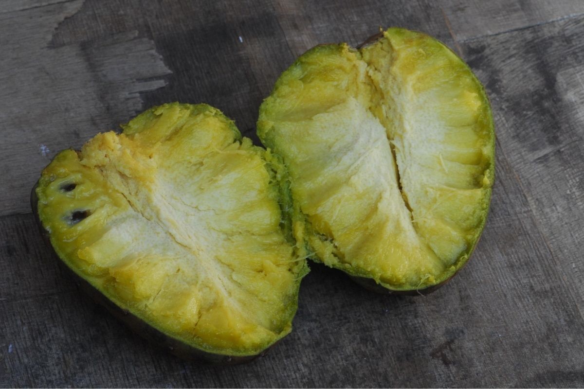 Fruto araticum com casca escamosa