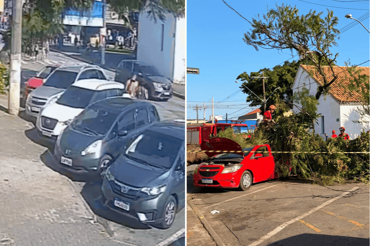 Árvore caída sobre carro estacionado em Itanhaém