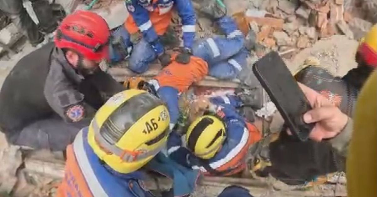 Cachorra Meli durante resgate sob escombros em Cali
