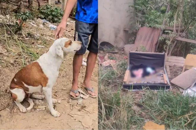 Romeu Carneiro dos Santos, que quer adotar o bebê encontrado em Sabará