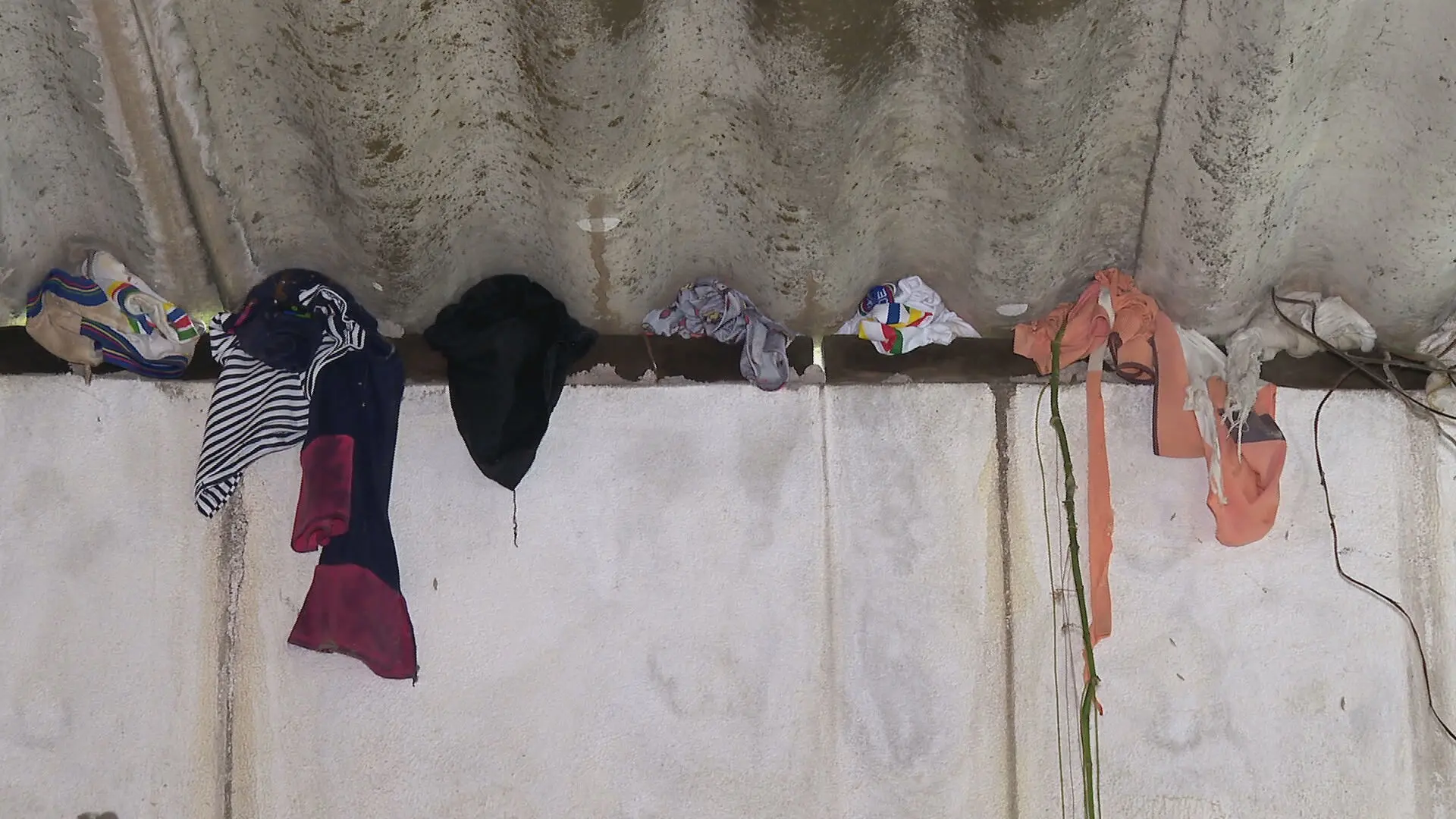 Roupas colocadas entre telhas de casa para impedir a entrada de cobras na Vila do Papel