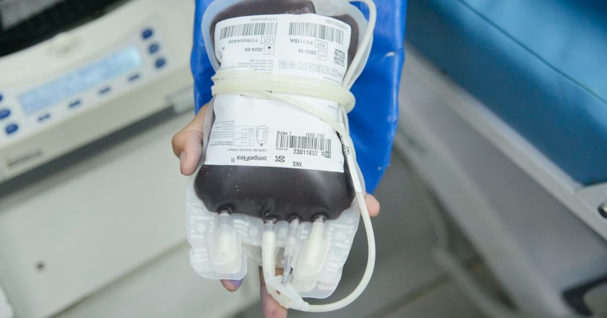 Profissional de saúde coleta sangue de doador