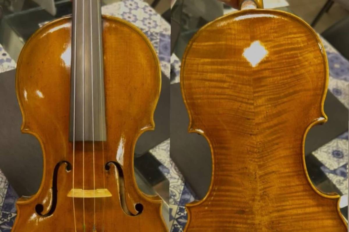Dois violinos de Elisa Fukuda