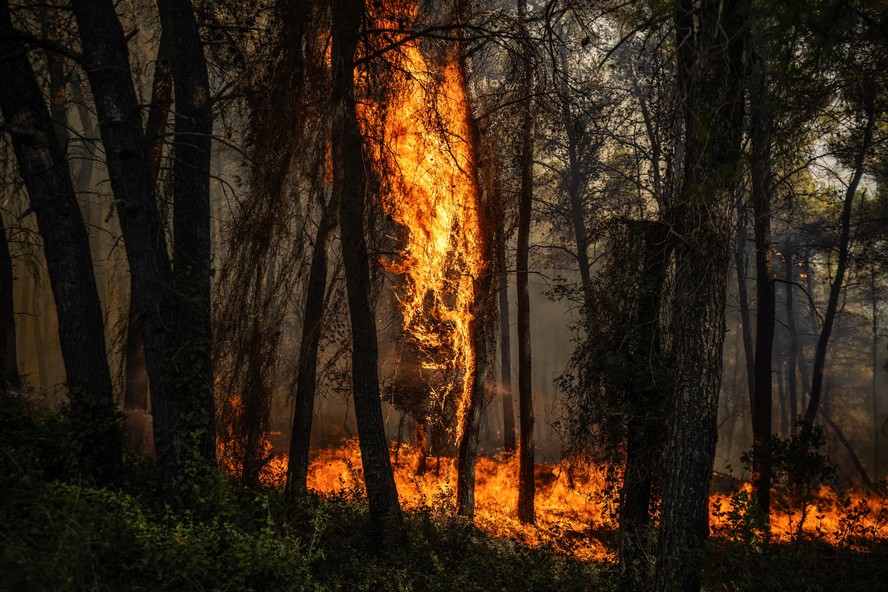 Incêndio florestal na Grécia