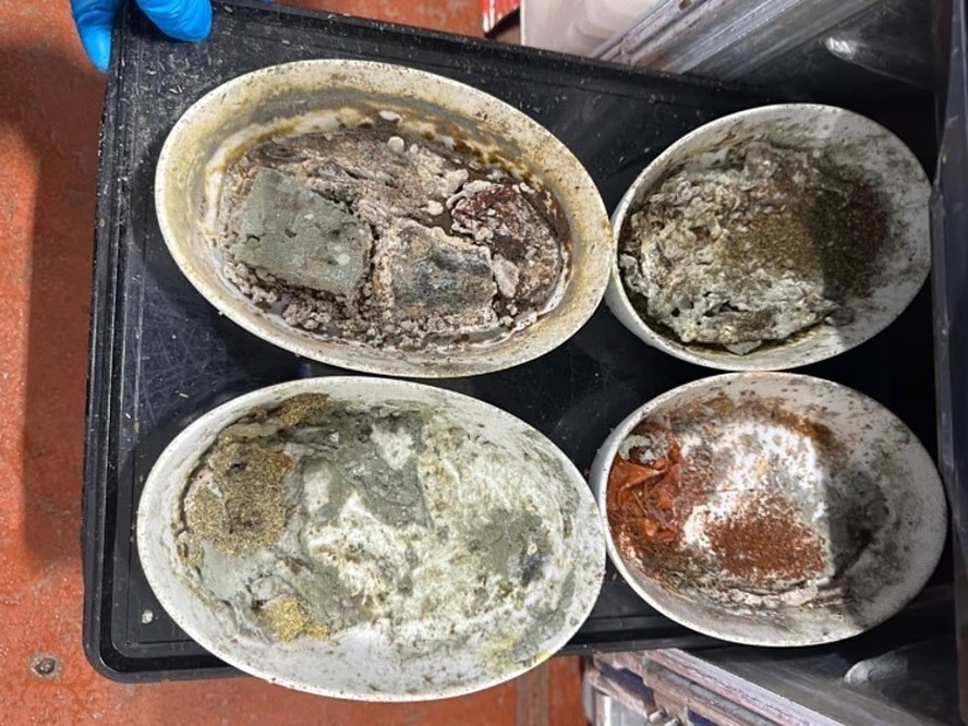 Alimentos mofados em recipiente de refeições