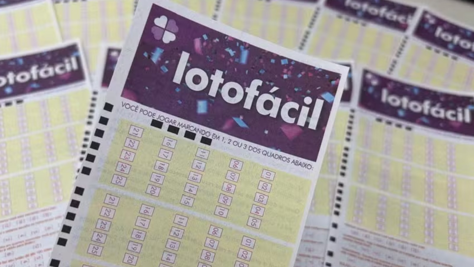 Volante da Lotofácil