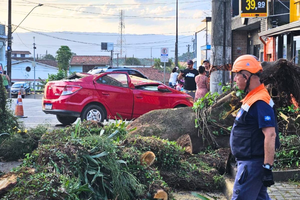 Árvore caída sobre carro em Itanhaém
