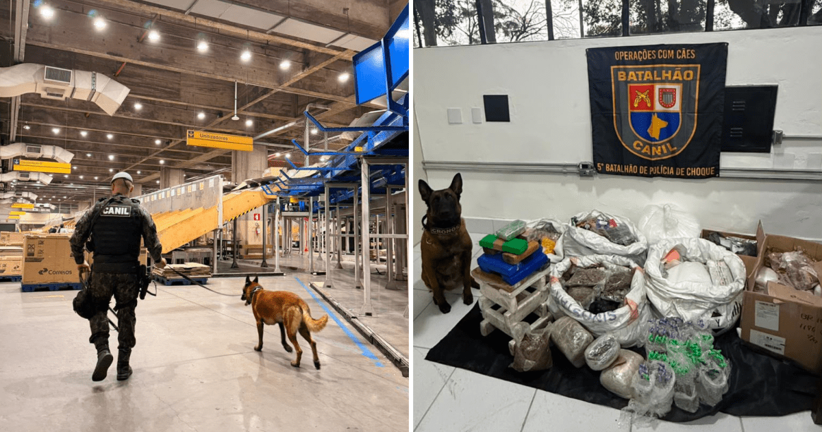 Drogas apreendidas em operação nos Correios de São Paulo