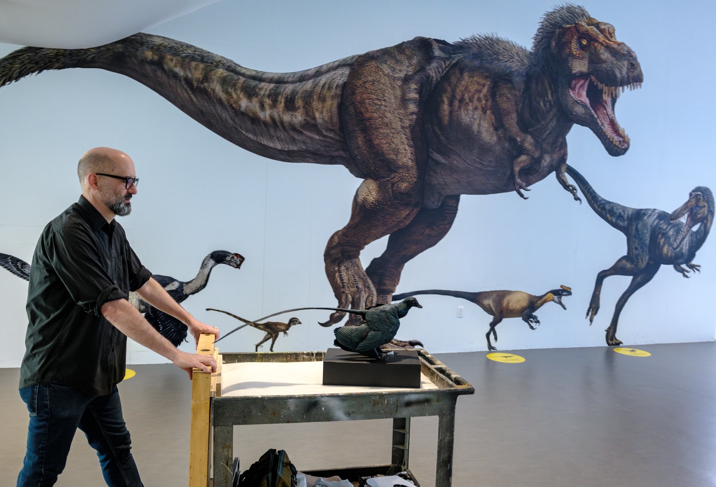 Modelo de Microraptor em exposição no Museu Americano de História Natural
