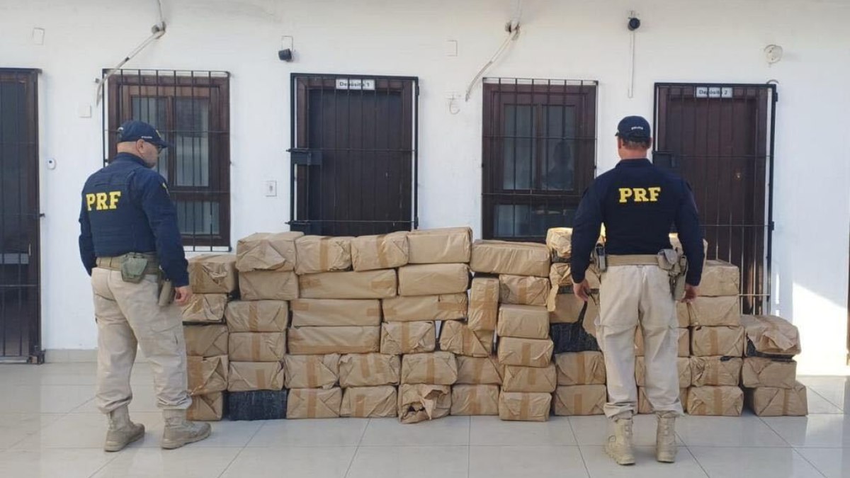 Tabletes de maconha apreendidos pela PRF em caminhão