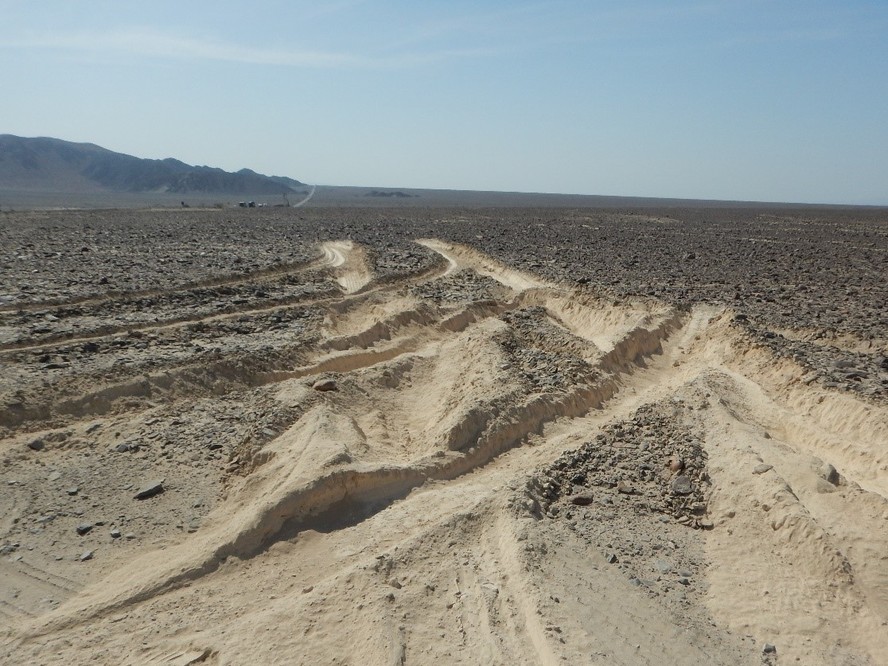 Linhas de Nazca no deserto do Peru